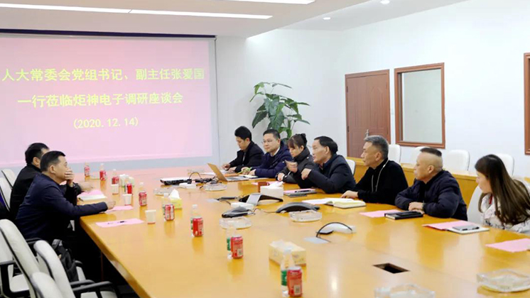 郴州市人大常委會黨組書記、副主任張愛國到炬神電子調(diào)研安全生產(chǎn)工作